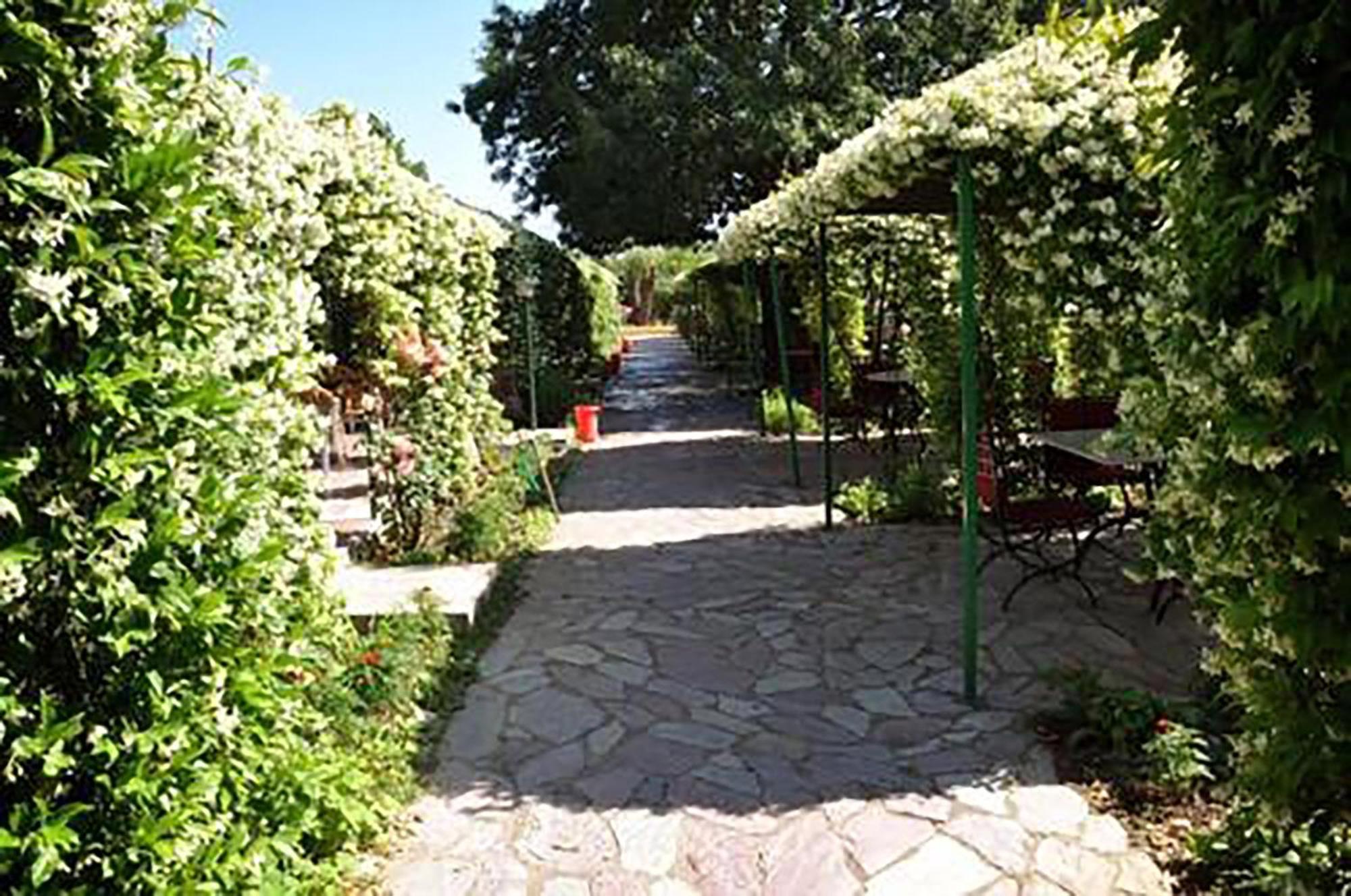 שקודר Buna Park Hotel מראה חיצוני תמונה